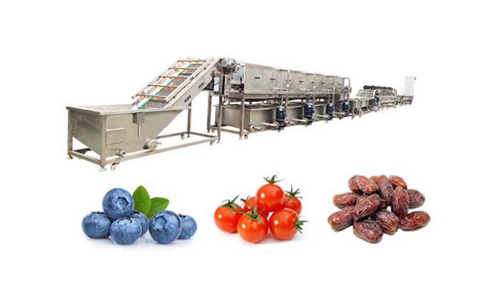 http://d723618.xzgoogle.com/wp-content/uploads/2025/04/fruit-vegetable-washing-prodcution-line-1-.jpg
