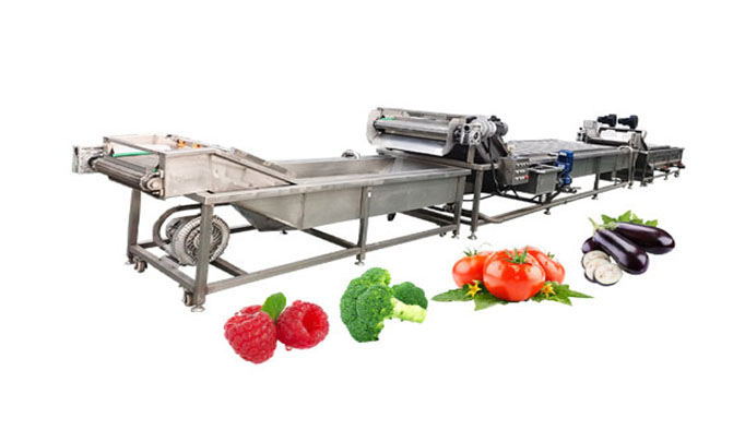 http://d723618.xzgoogle.com/wp-content/uploads/2025/04/fruit-vegetable-washing-prodcution-line.jpg